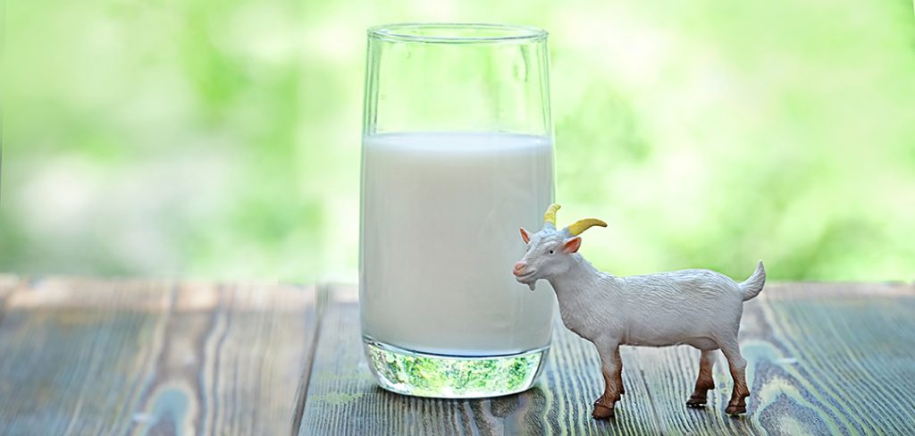 goat milk in glass